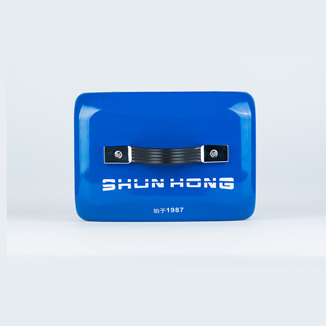 Transformateur abaisseur 4 000 VA de qualit&eacute; industrielle, conversion s&ucirc;re et stable de 220 V &agrave; 110 V/100 V, utilisation d'&eacute;quipements &eacute;lectriques multinationaux pour des experts en conversion de tension efficace